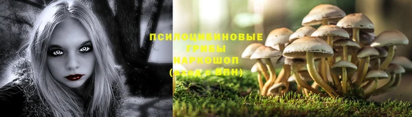 хмурый Армянск