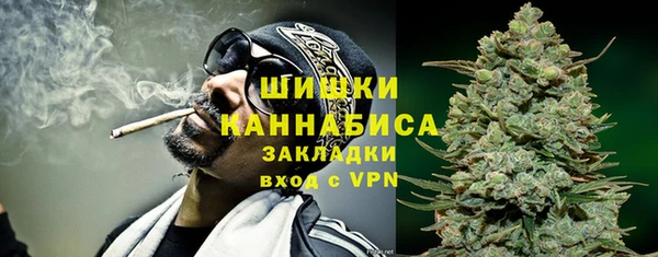 spice Арсеньев