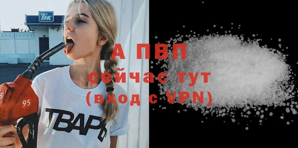 spice Арсеньев